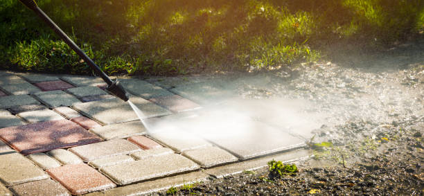 Best Sidewalk and Walkway Cleaning  in Lacon, IL